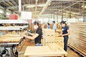 Xuất khẩu gỗ và sản phẩm gỗ dự kiến đạt 8 tỷ USD