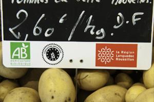 Nhập khoai tây Pháp không ảnh hưởng xấu tới sản xuất trong nước