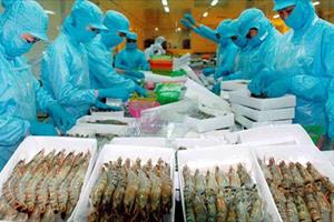 5 lô hàng thực phẩm Việt Nam bị cảnh báo tại Úc