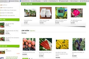 Mua hàng trực tuyến: Thị trường nông thôn đang bị bỏ ngỏ!