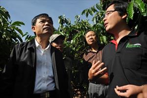 Nescafé Plan góp phần nâng cao giá trị hạt cà phê Việt Nam