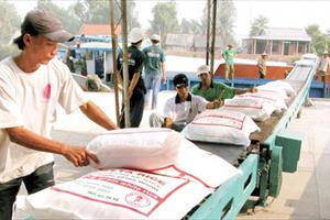 Bộ Công Thương tìm cách gỡ khó cho xuất khẩu gạo