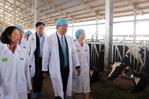Lãnh đạo TP. Hồ Chí Minh lên Đà Lạt tham khảo mô hình nuôi bò sữa