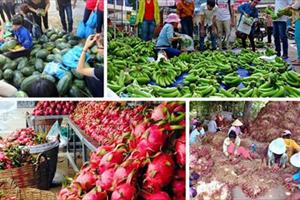 Vì sao hoa quả Việt thất thế trước “cơn lốc” hàng nhập ngoại?