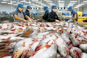 Cá tra Việt Nam xuất sang Mỹ sắp trở lại với tên gọi 'catfish'