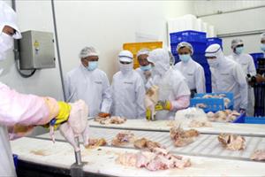 Nhật Bản chính thức đồng ý nhập khẩu thịt gà Việt Nam