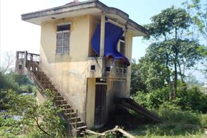 Thừa Thiên - Huế: Ruộng đồng bỏ hoang vì trạm bơm tiền tỷ “ngủ” 14 năm