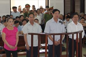 Vụ án “buôn lậu” gỗ trắc ở Quảng Trị: Ban Dân nguyện vào cuộc