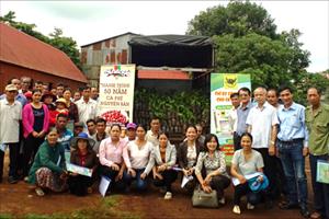 Viên gạch đầu tiên trên hành trình hỗ trợ người nông dân trồng cà phê Buôn Ma Thuột