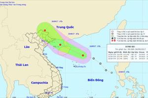 Các địa phương ven biển từ Quảng Ninh đến Quảng Ngãi chủ động ứng phó với áp thấp nhiệt đới