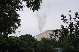 Khói nóng nhà máy gạch của Công ty CP Đầu tư Royal Việt Nam làm giảm năng suất cây ăn quả