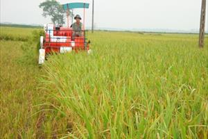 Agribank chung tay giải quyết “bài toán hóc búa” Bảo hiểm nông nghiệp