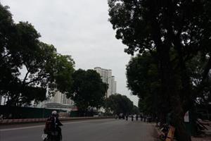Hà Nội: Di dời hơn 1.000 cây xanh trên đường Phạm Văn Đồng