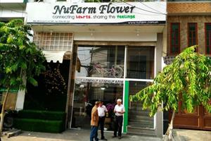 Nhân viên NuFarm Flower lừa đảo chiếm đoạt 300 triệu đồng?