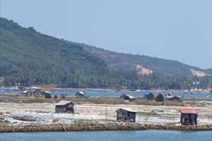 Phú Yên: Lấn chiếm đất xây dựng hồ nuôi tôm trái phép