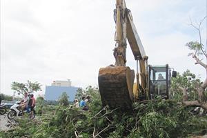 Phú Yên thiệt hại nặng do dự báo bão Damrey có phần chưa chính xác