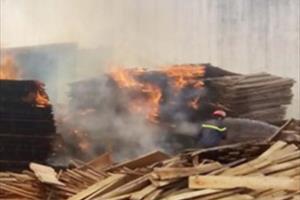 Bình Định: Cháy lớn tại doanh nghiệp tư nhân chế biến đồ gỗ Quang Dũng