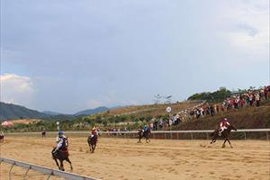 Tập đoàn Vabis: Đầu tư hơn 1.000 tỷ đồng xây dựng trường đua ngựa ở Lâm Đồng