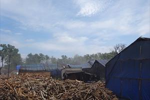 Đắk Lắk: Hàng chục lò than đốt trái phép, dân kêu trời