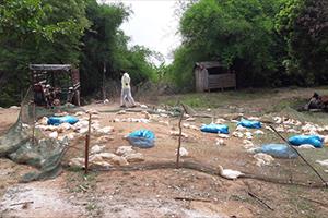 Đắk Lắk: Nâng cao công tác phòng chống dịch cúm H5N1 tại huyện Ea Súp