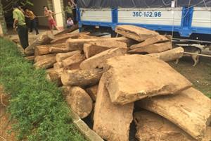 Thanh Hóa: Kỷ luật hàng loạt cán bộ kiểm lâm để gỗ lậu qua trạm chốt