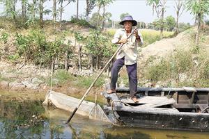 Hàng ngàn nông dân Tiền Giang bỏ tết lo cứu lúa