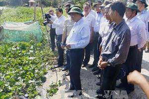 PTT Nguyễn Xuân Phúc kiểm tra tình hình xâm nhập mặn tại Hậu Giang