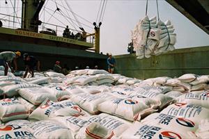 Việt Nam mở rộng thị trường xuất khẩu gạo