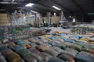 Xuất khẩu gạo trong tháng Hai vượt kế hoạch 400.000 tấn