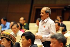 ĐB Ngô Văn Minh: Tiền đâu để lãnh đạo Bộ, địa phương đi xe 2.4 rồi 3.0