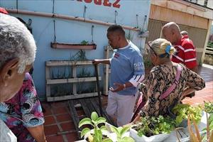 Tổng thống Venezuela kêu gọi trồng rau quả trên ban công và mái nhà