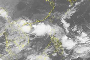 Chuyên gia khí tượng nói về cặp áp thấp “sinh đôi” trên Biển Đông