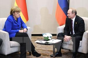 Lãnh đạo Nga, Đức thảo luận về tình hình Syria và Ukraine