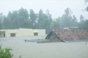 Lụt ngập nóc nhà ở Quảng Bình