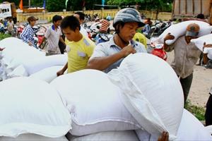 Hỗ trợ Quảng Bình 1.500 tấn gạo cứu trợ hộ dân vùng ngập lũ
