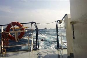 Ba ngư dân gặp nạn ở Hoàng Sa được tàu SAR 274 cứu vớt