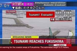 Sóng thần cao hơn 1m xuất hiện ở Nhật Bản, nhiều người đã bị thương