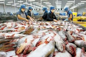 Trung Quốc có thể là thị trường lớn nhất nhập cá tra Việt Nam