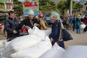 Hỗ trợ khẩn cấp 2.000 tấn gạo cho tỉnh Bình Định