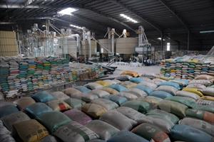 Xuất khẩu gạo năm 2017: Mức tăng trưởng vượt kỳ vọng