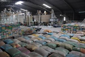 Sửa đổi tạo điều kiện thuận lợi cho doanh nghiệp xuất khẩu gạo