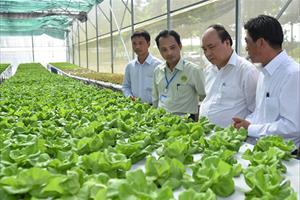Thủ tướng: Bình Phước phải đổi mới dựa trên nền tảng của nông nghiệp thông minh