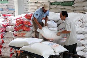 Philippines tăng cường nhập khẩu gạo từ Việt Nam và Thái Lan