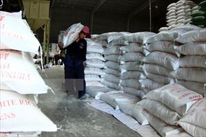 Xuất khẩu gạo có nhiều tín hiệu lạc quan sau thời gian dài trầm lắng