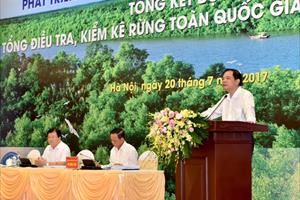 Phó Thủ tướng chủ trì hội nghị triển khai chương trình lâm nghiệp bền vững
