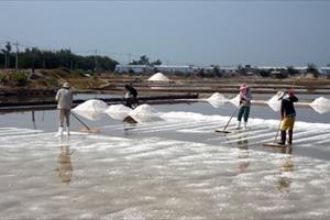 Muối Ninh Thuận được giá nhưng mất mùa