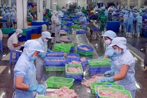 VASEP phản đối mức thuế chống bán phá giá cá tra do Hoa Kỳ đưa ra