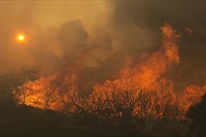 Ít nhất 10 người chết do cháy rừng ở Bắc California