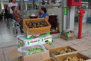 Việt Nam xuất hộ trái cây cho Thái Lan!