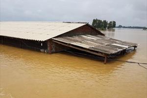 Hà Nội: Xử lý kịp thời lún sụt đê bao tả Bùi thuộc huyện Chương Mỹ